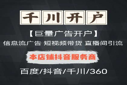 SEM代理助力品牌：案例解析与优化策略